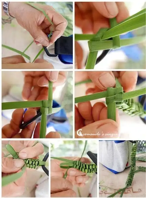 马蔺离离幽草自成丛