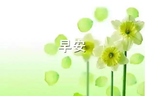 早晨起床的早安问候语,早上好的问候语句