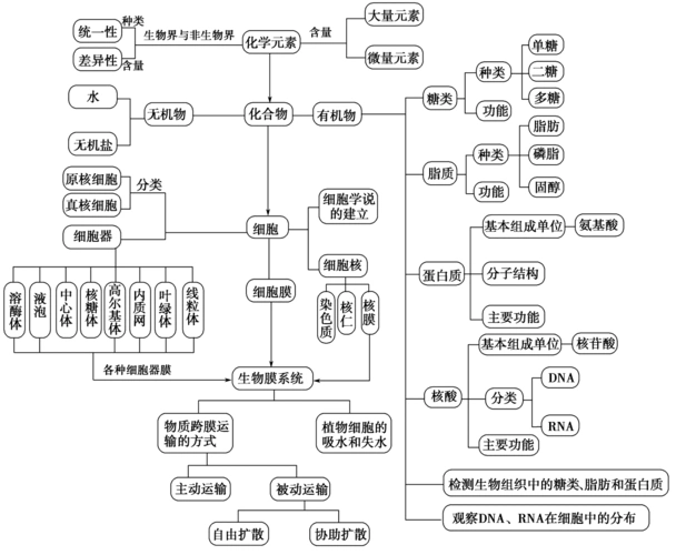 高中生物 必修一 1-3章精简知识点(概念图,表格等形式) 8页