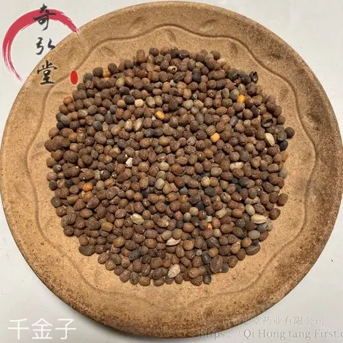 中药材千金子-千金子今日报价