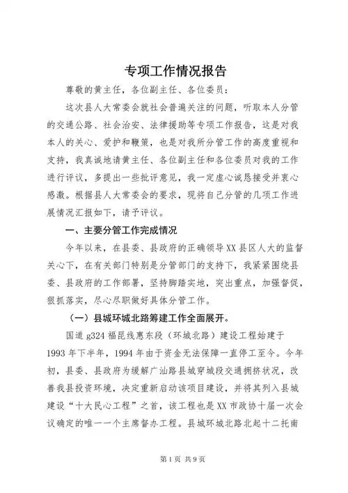 专项工作情况报告docx