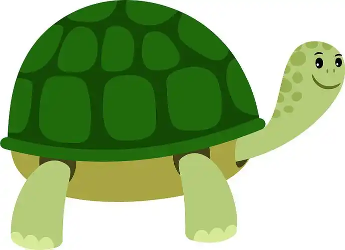 绿色可爱的乌龟卡通图标图片