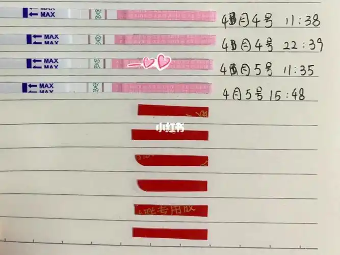 备孕中的排卵试纸