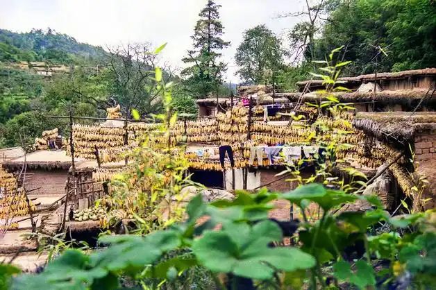 云南峨山彝族土掌房用智慧堆砌的泥土艺术