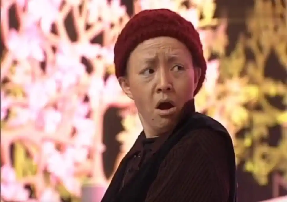 宋丹丹:从美貌到才华,演绎人生的多样精彩