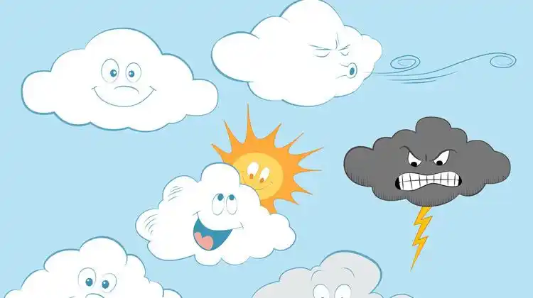 学习单词windy和foggy