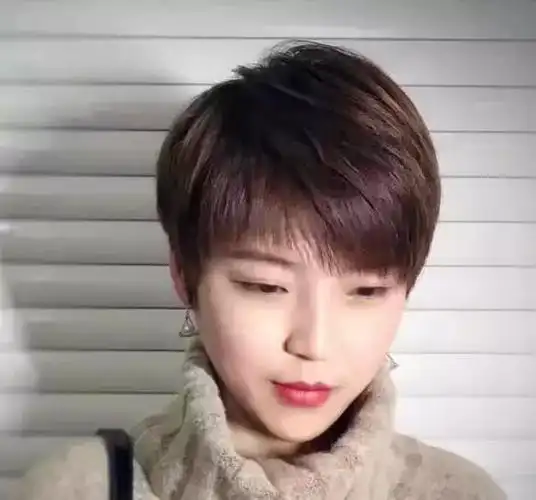 今年冬天的高级与清爽就来自于一头干净利落的短发.
