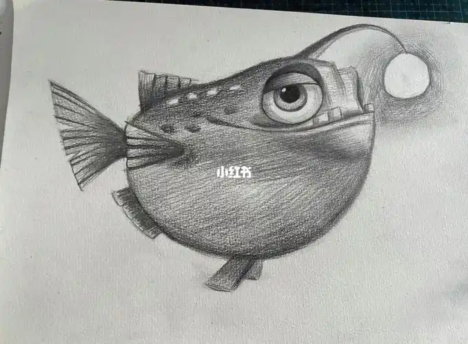 灯笼鱼素描