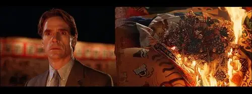 《蝴蝶君》电影台词全本 dvd版截图