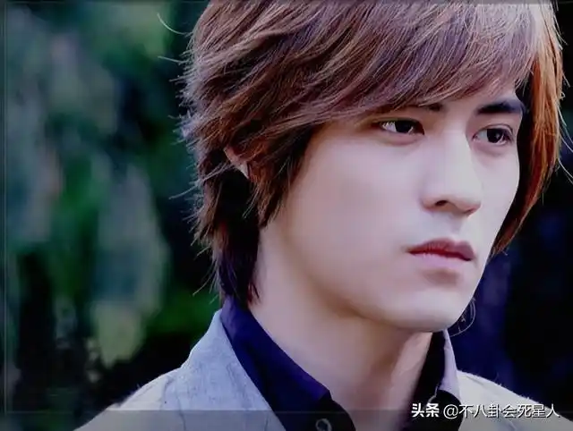 大概中国的观众都是因为这一版电视剧才了解到《流星花园》的,可能大s