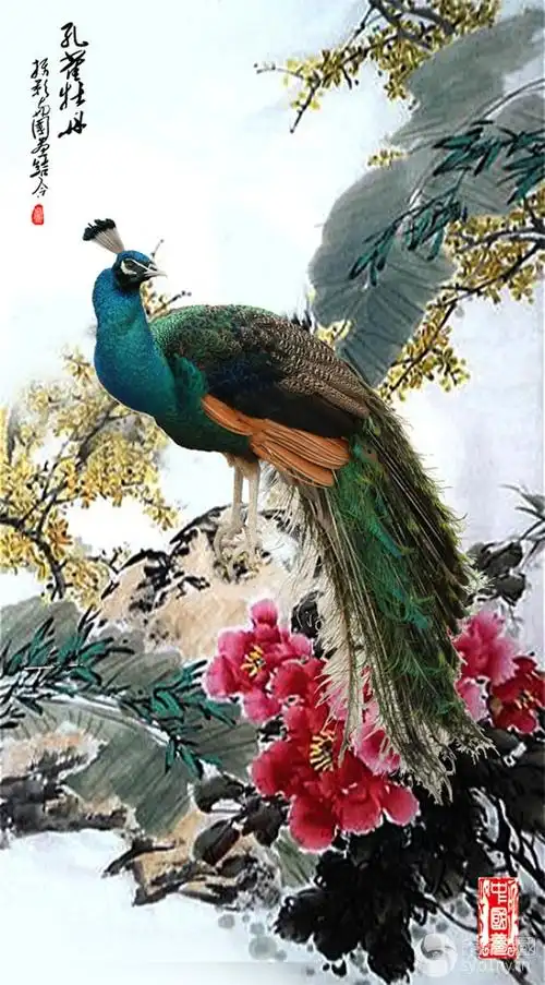 孔雀牡丹(摄影与国画)