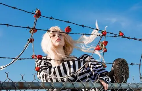 ins:thestrawberrybutcher - 堆糖,美图壁纸兴趣社区