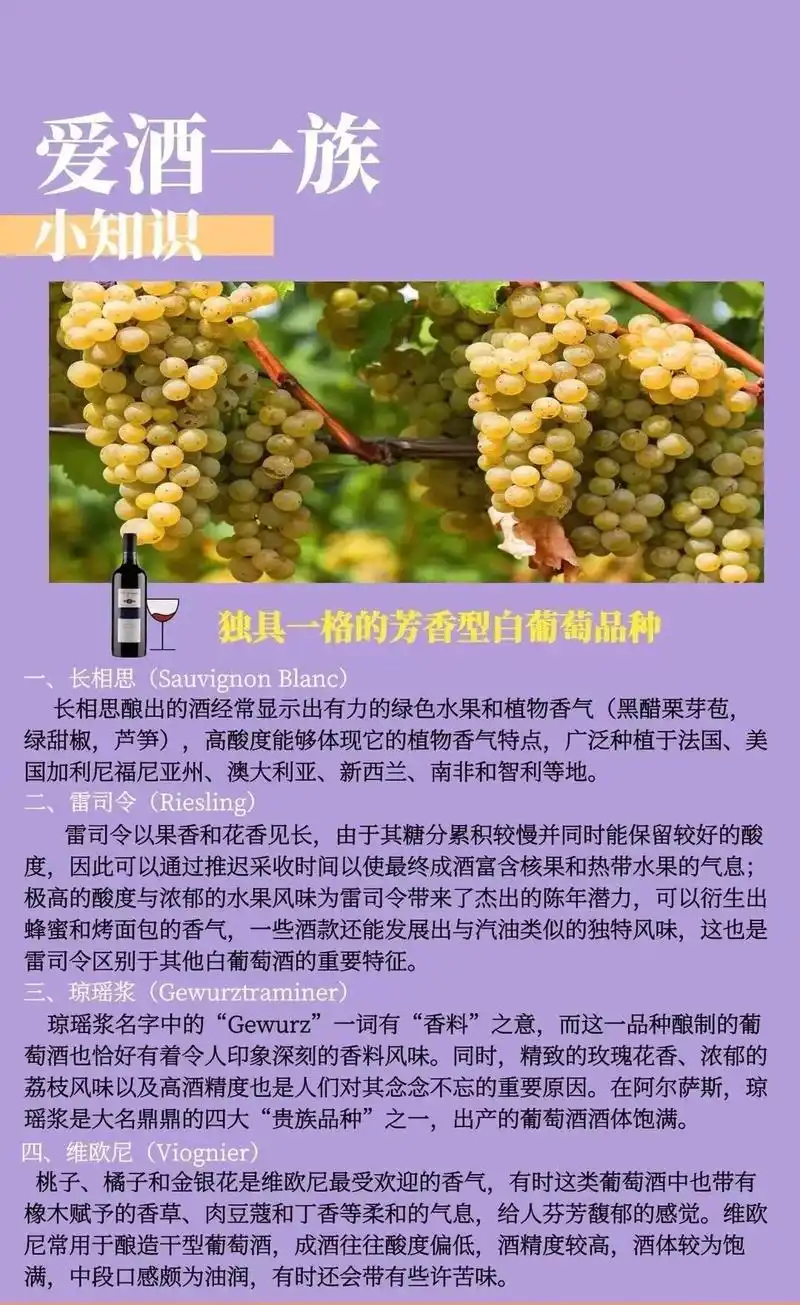 7878独具一格的芳香型白葡萄品种.99一,长相思 (sauvi - 抖音