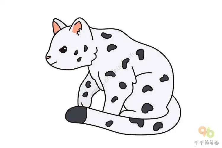 雪豹简笔画