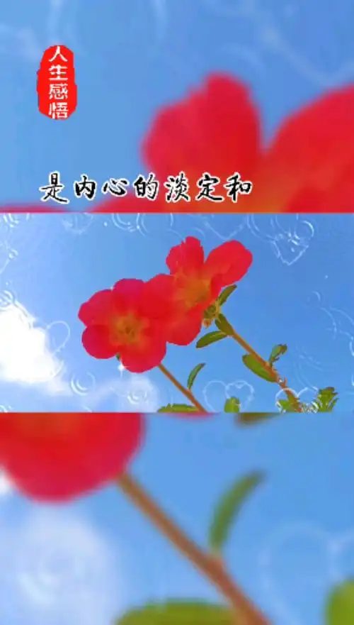 励志正能量#人生最美的风景是内心的淡定与从容,生活平淡只要用心