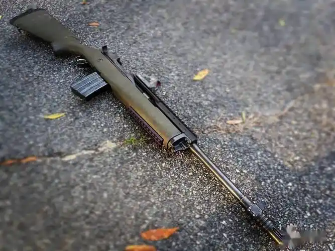 【ruger mini14图集】长得像小号m14的轻型步枪