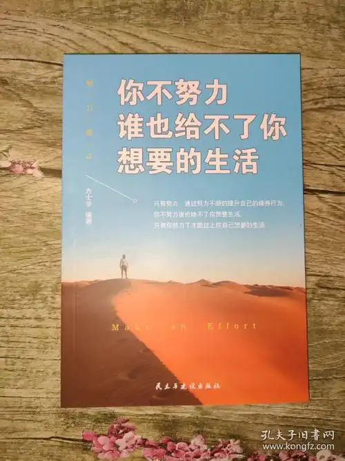 努力奋斗丛书你不努力谁也给不了你想要的生活