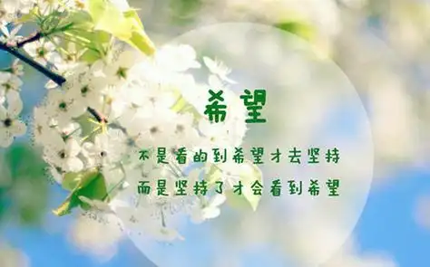 新的一天新的开始怎么回复 新的一天新的开始唯美句子有哪些?