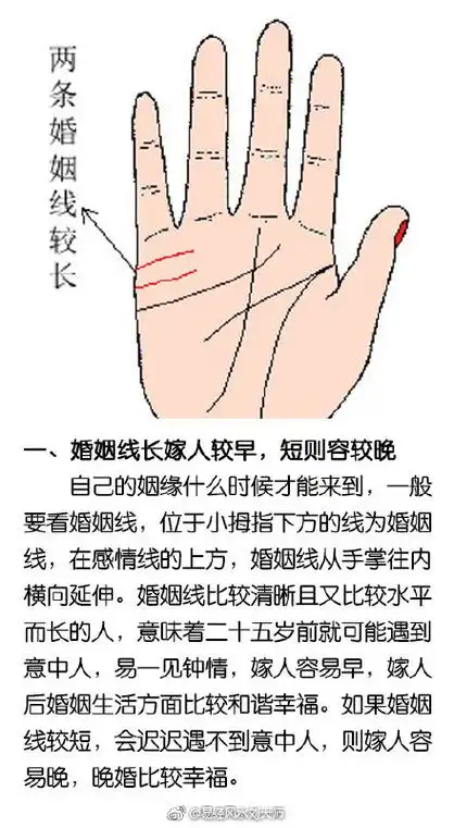 14,5婚姻线是哪条怎么解释感情线是哪一条婚姻线又是哪一条呀  你好
