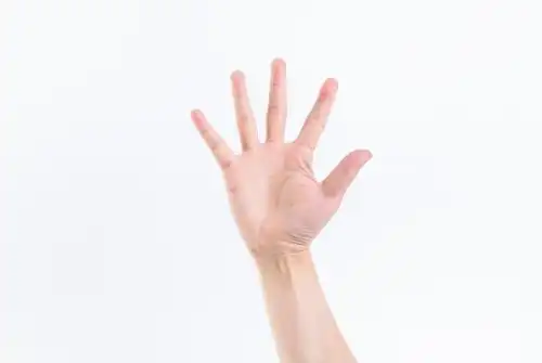 一只手的各种手势 白背景