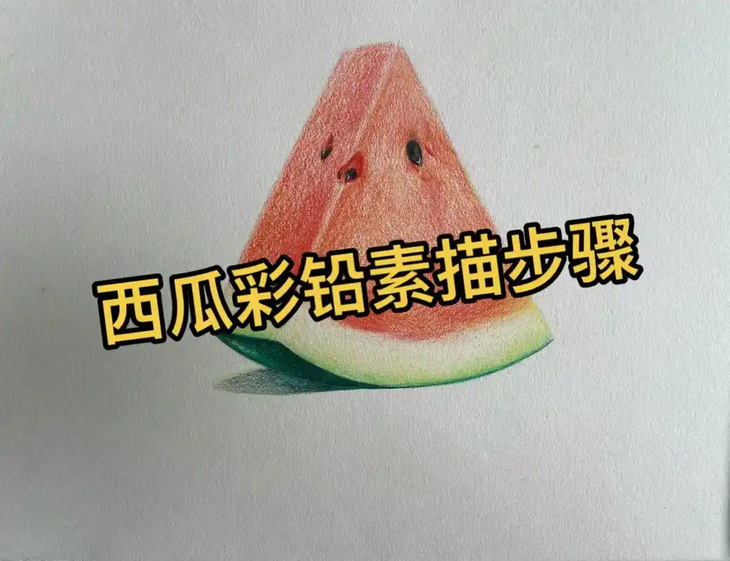 素描静物单体791579157915西瓜彩铅写生919191