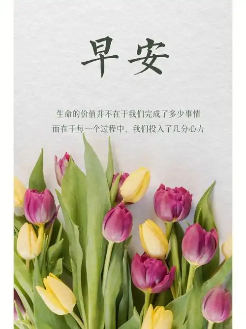 简单高级的朋友o元气早安文案日签