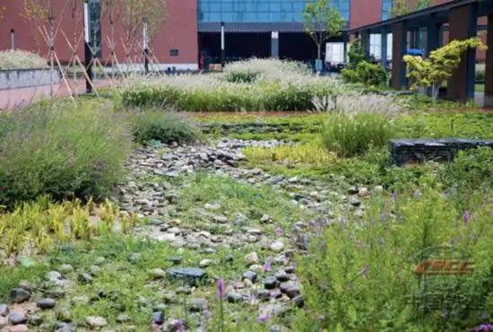 工作动态根据海绵城市建设要求,公司所属曹家馆项目一方面加强绿地