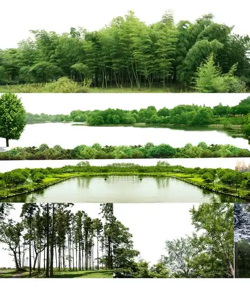 背景植物树木远景树林丛林远景山配景树景观效果图psd免抠ps素材