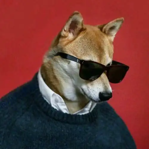 区块链dapp开发怎么做开发价格及背景分析