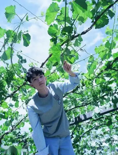 孙浠伦 | 少年爱黄昏