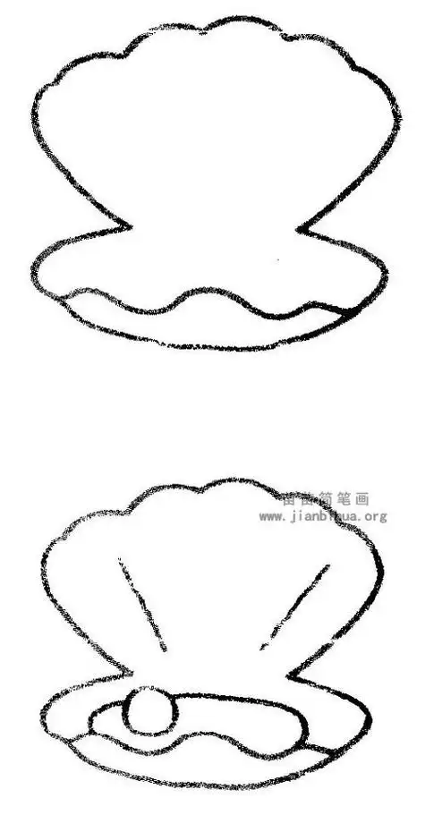 河蚌简笔画带颜色