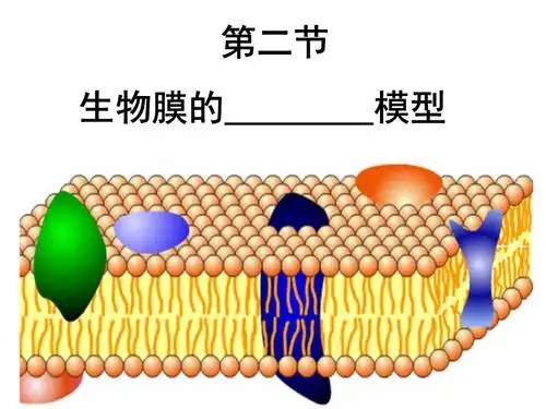 推论生物膜是由脂质组成的.ppt