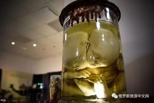 彼得大帝的怪物,怪胎展,胆小者,慎入!