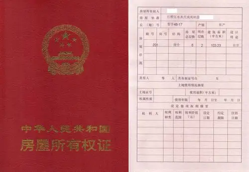 关于农村房产证一个人只能拥有一套房产,如果有两套怎么办,?