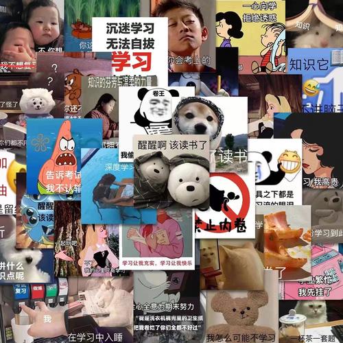 60我爱学习表情包贴纸劝学内卷个性搞笑网红沙雕搞怪励志文字发疯