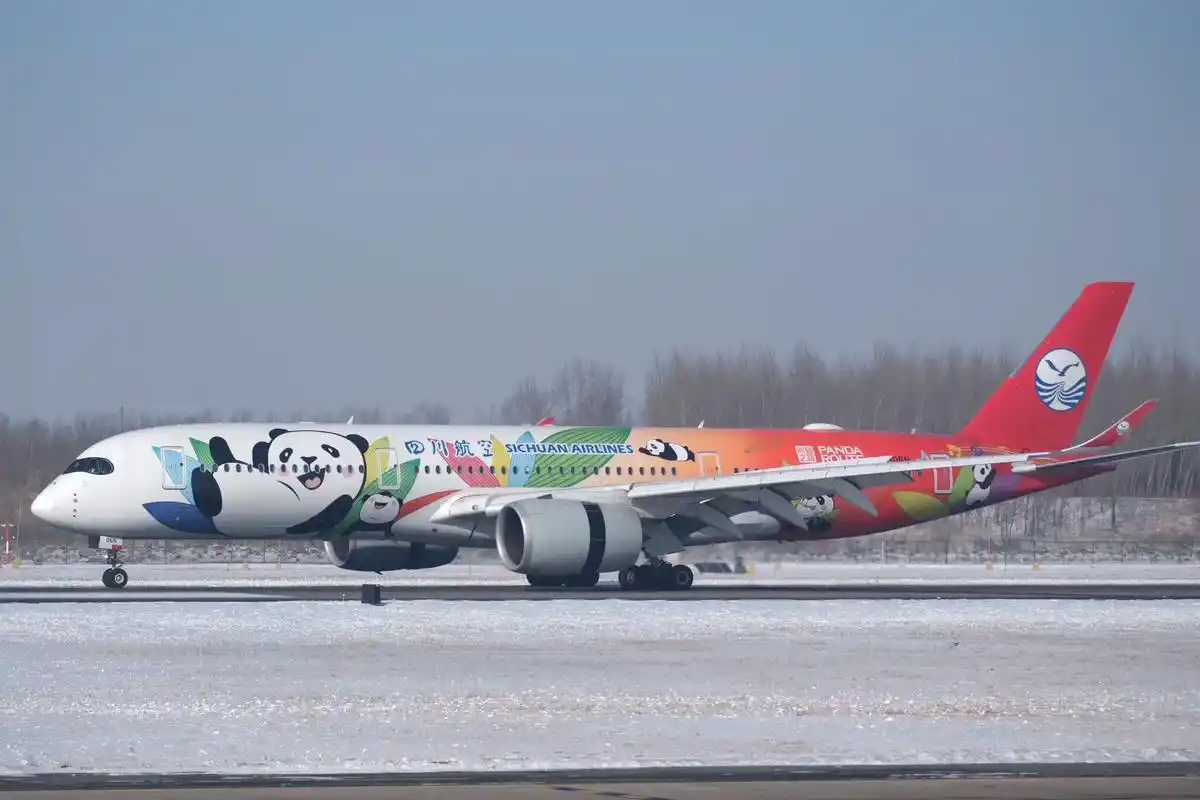 四川航空熊猫之路彩绘熊二 首航长春.四川航空熊猫之路#a35 - 抖音