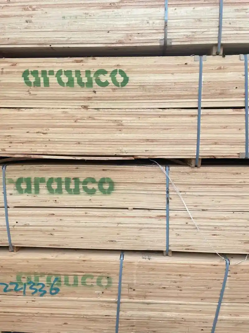 新西兰辐射松板材