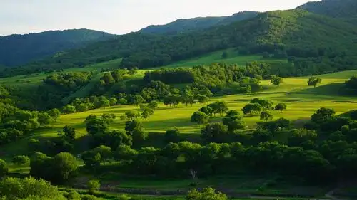 夏天坝上草原摄影纪实
