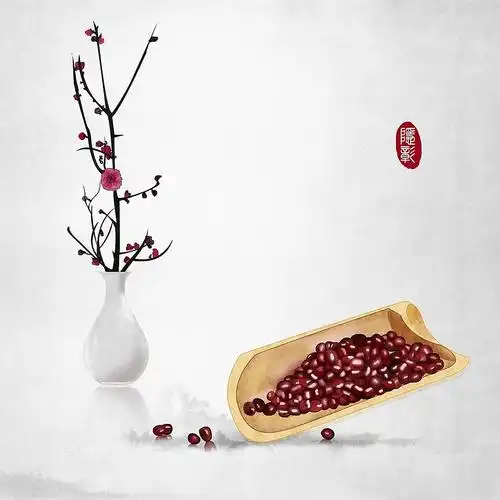 相思思念红豆花枝24节气古风水墨画中式中国风古风插画