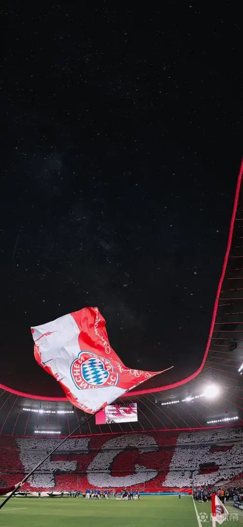 手机壁纸分享拜仁慕尼黑