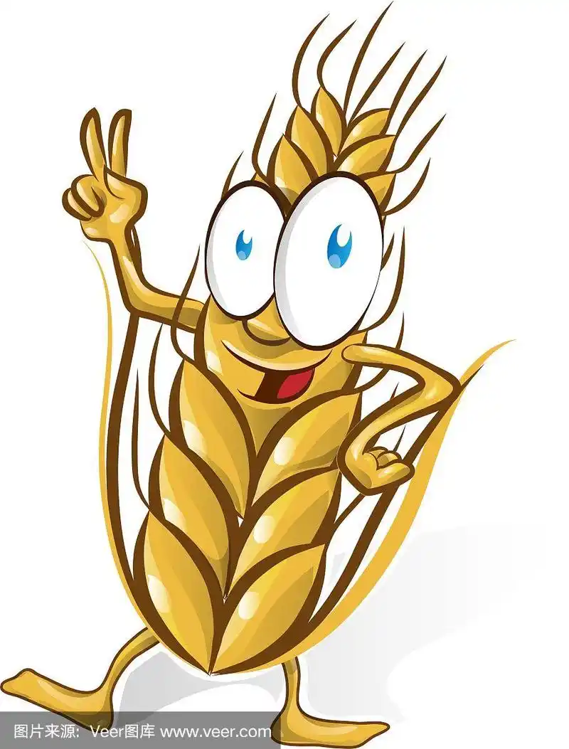 小麦卡通孤立在白色背景