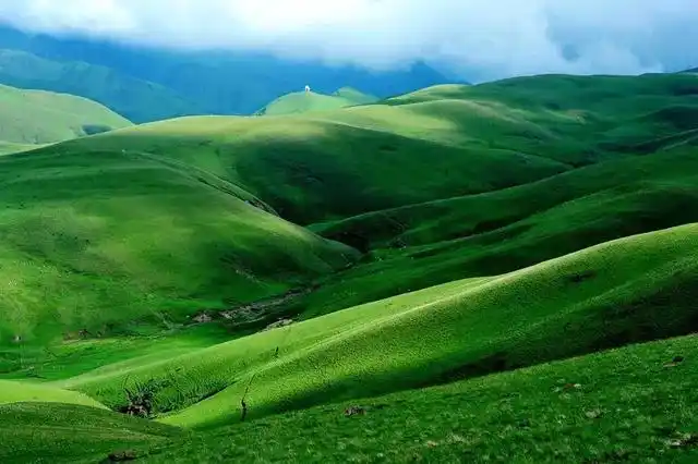 云南有大美而不言之地,高山草甸清新撩人,已到最美时刻!