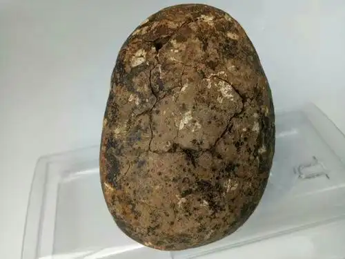 火星玉化陨石哪里鉴定诚信牢靠