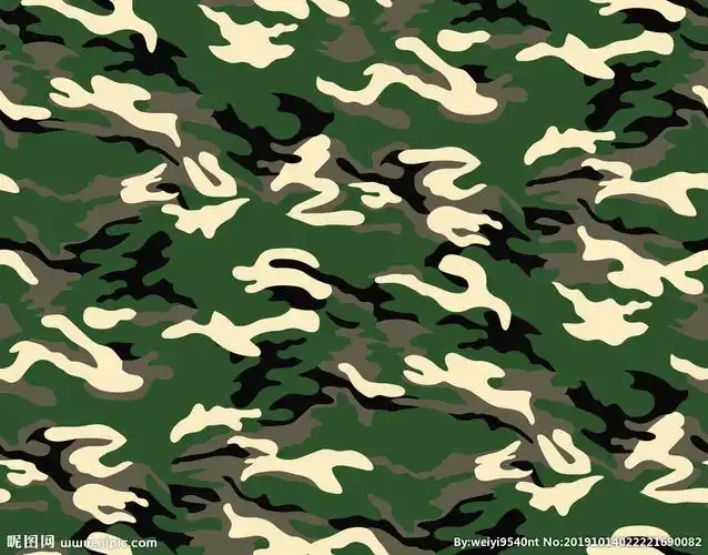 迷彩数码印花图片