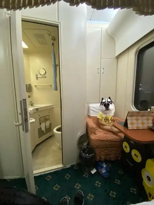 2,高铁软卧里面是怎么样的