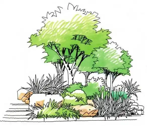 如何画好景观手绘?_植物