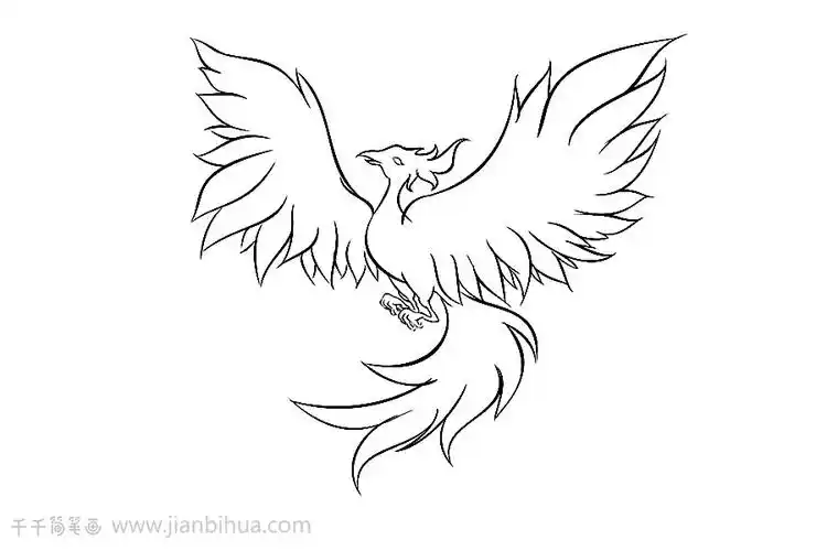 如何画凤凰简笔画