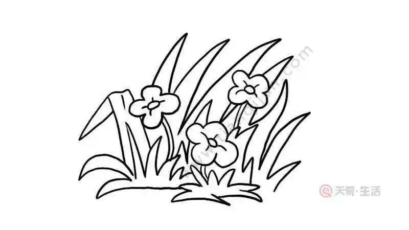 野花草地简笔画