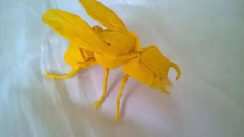 黄蜂折纸折法 手工折纸大全-蒲城教育文学网