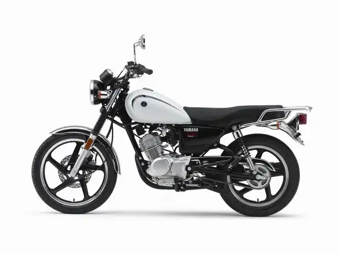 建设雅马哈天俊jym1253f整车外观